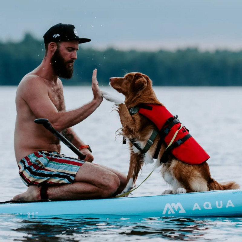 Aqua Marina Vapor All-Around ISUP Paddleboard